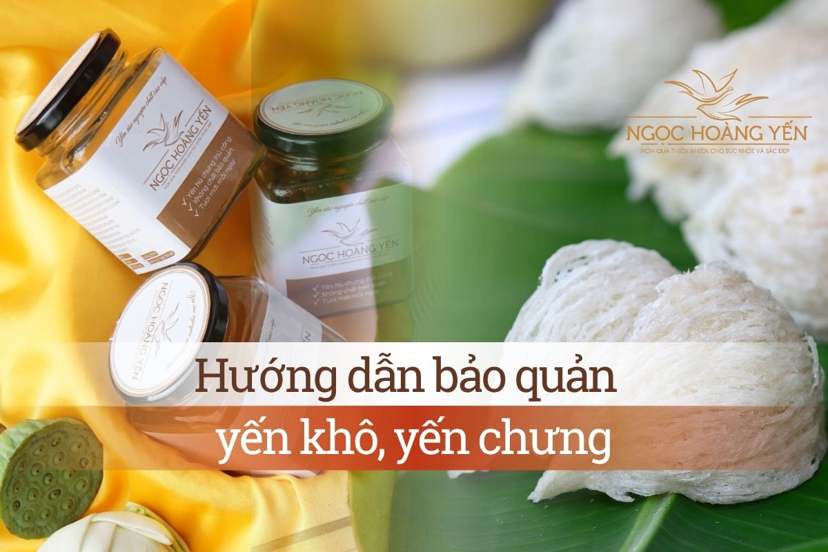 Hướng dẫn bảo quản yến khô, yến chưng