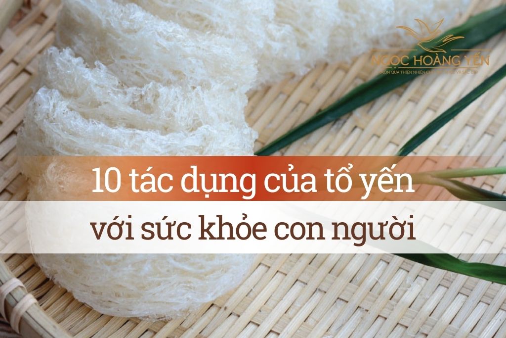 10 tác dụng của tổ yến với sức khỏe con người