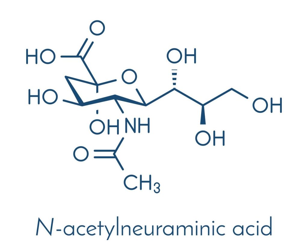 Acid sialic trong yến rất có ích cho hoạt động của não bộ