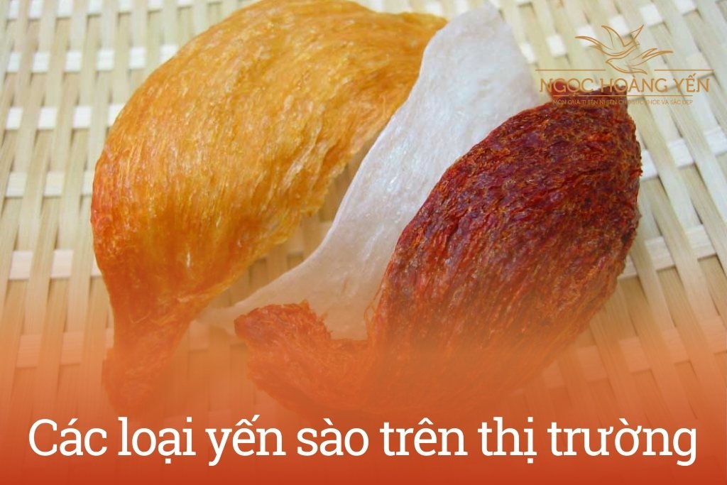 Các loại yến sào trên thị trường