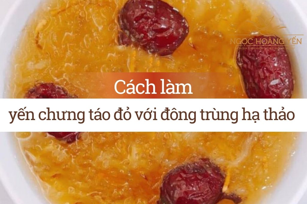 Cách làm yến chưng táo đỏ với đông trùng hạ thảo