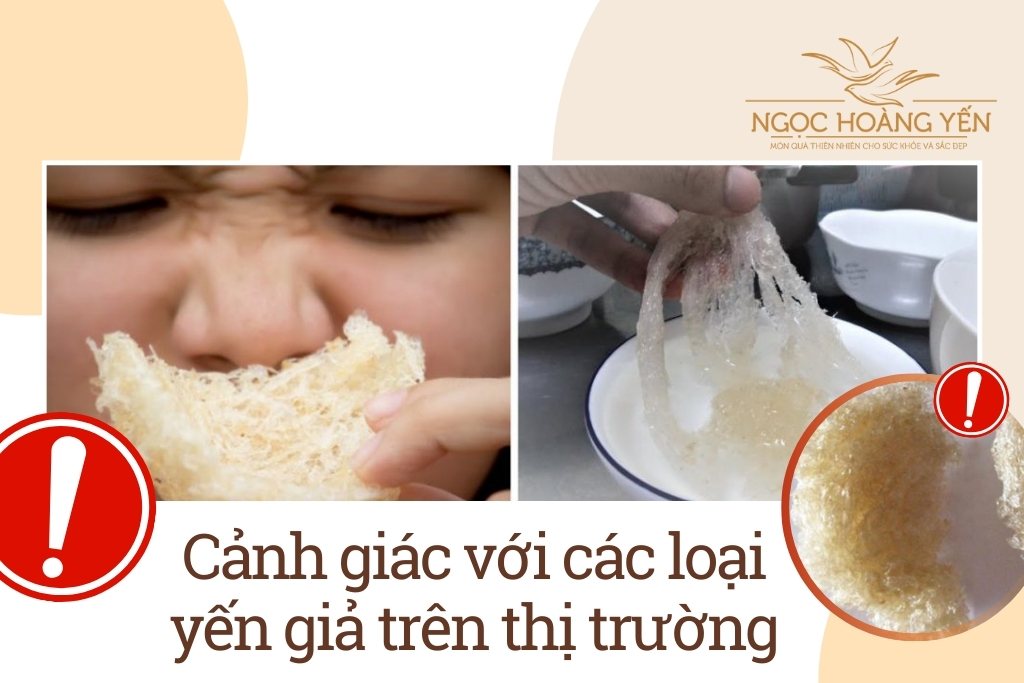 Cảnh giác với các loại yến giả trên thị trường