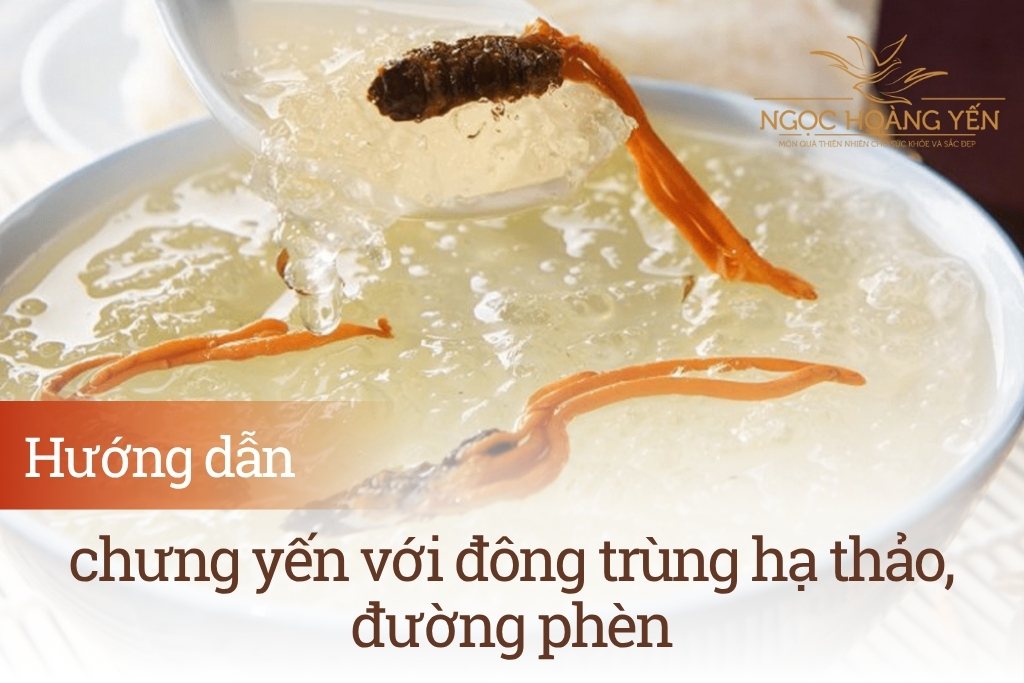Hướng dẫn chưng yến với đông trùng hạ thảo, đường phèn