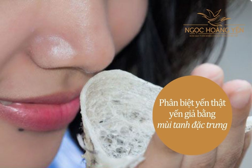 Phân biệt yến thật yến giả bằng mùi tanh đặc trưng