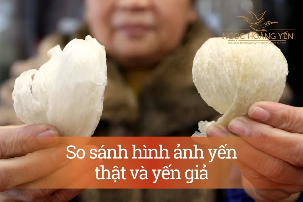 So sánh hình ảnh yến thật và yến giả