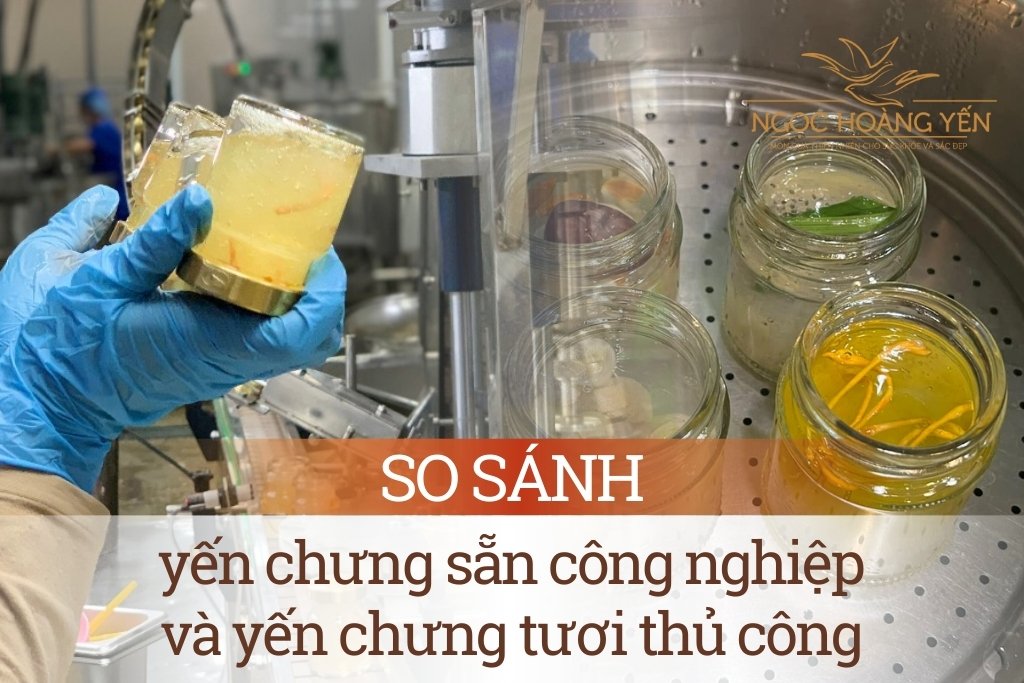 So sánh yến chưng sẵn công nghiệp và yến chưng tươi thủ công