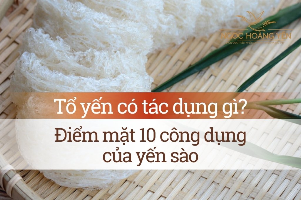 Tổ yến có tác dụng gì? Điểm mặt 10 công dụng của yến sào