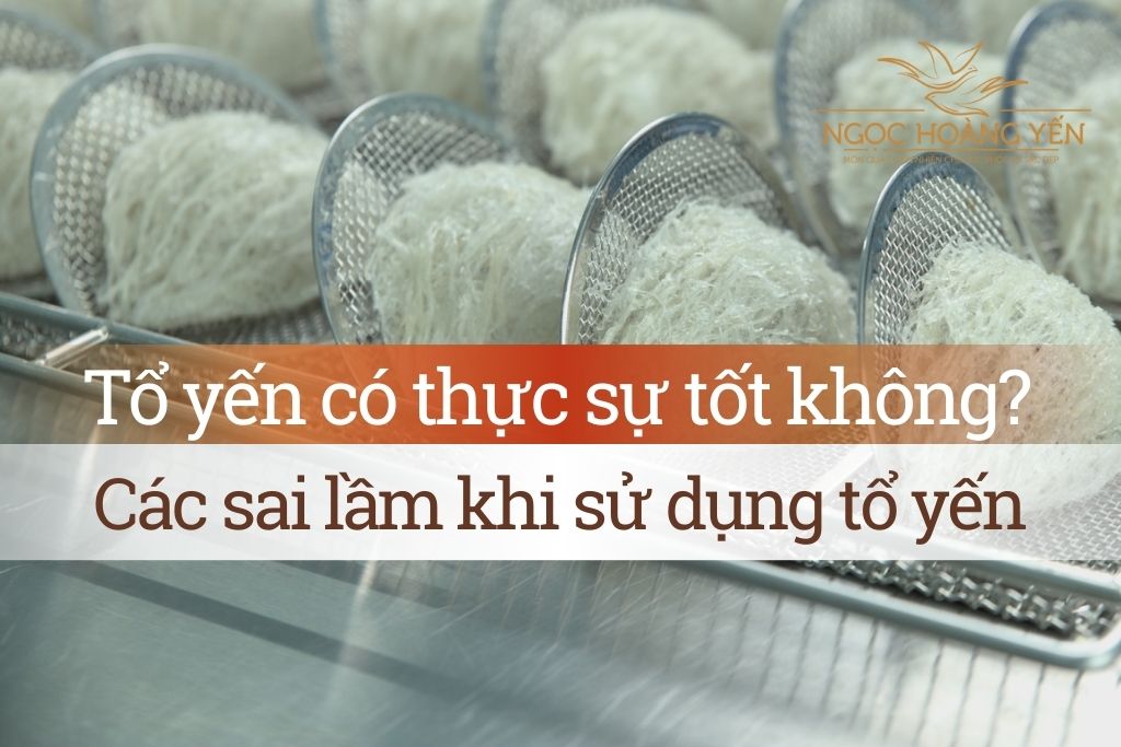 Tổ yến có thực sự tốt không? Các sai lầm khi sử dụng tổ yến