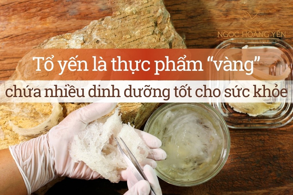 Tổ yến là thực phẩm “vàng” chứa nhiều dinh dưỡng, tốt cho sức khỏe