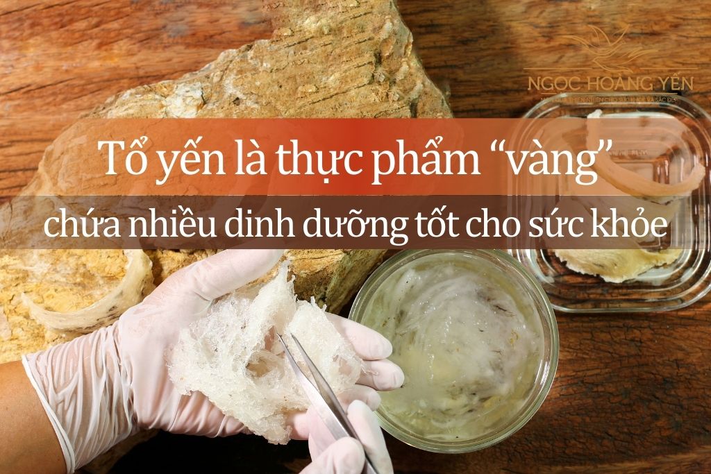 Tổ yến là thực phẩm “vàng” chứa nhiều dinh dưỡng, tốt cho sức khỏe