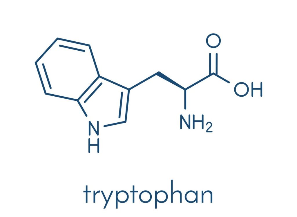 Tryptophan trong tổ yến giúp giảm căng thẳng hiệu quả