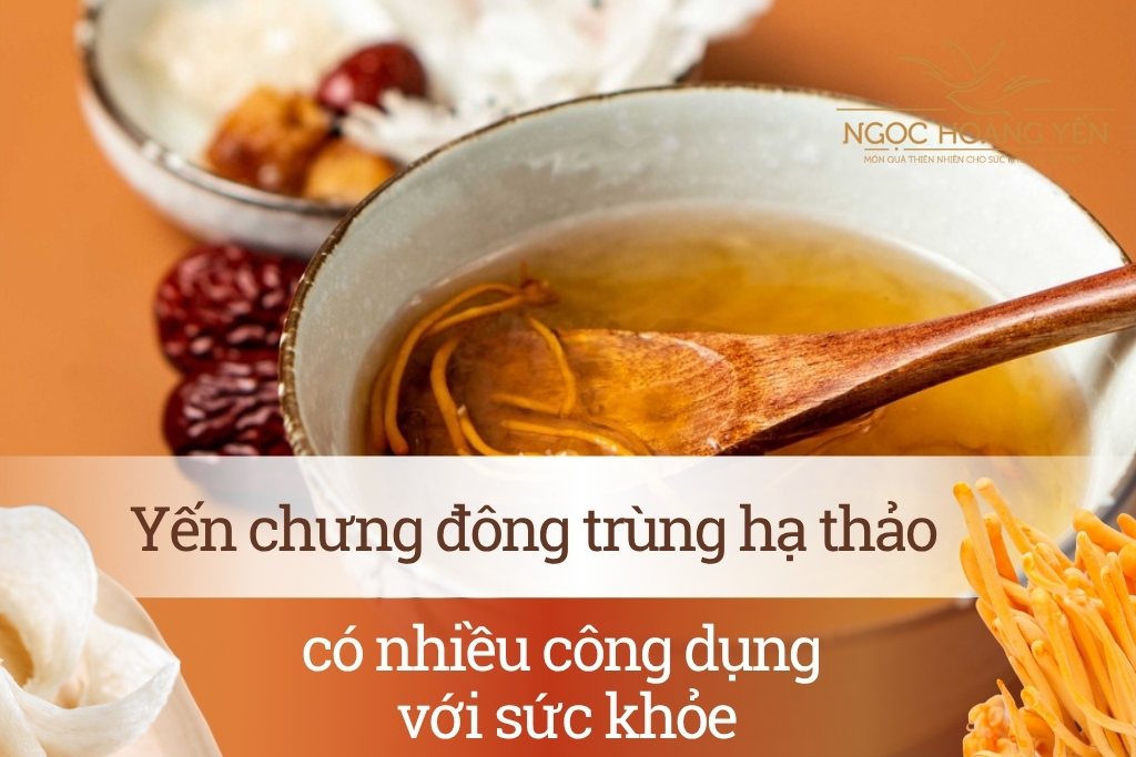 Yến chưng đông trùng hạ thảo có nhiều công dụng với sức khỏe