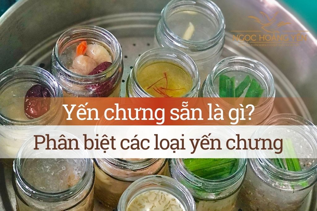 Yến chưng sẵn là gì? Phân biệt các loại yến chưng