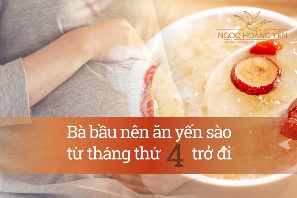 Bà bầu nên ăn yến sào từ tháng thứ 4 trở đi