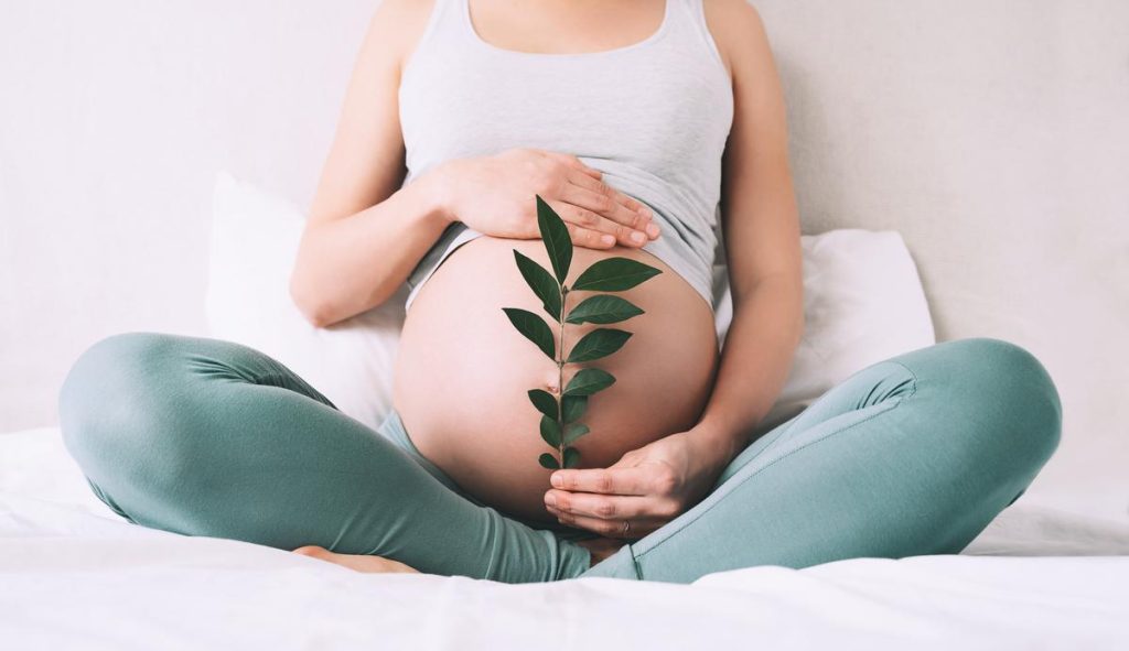 Bà bầu nên ăn yến vào tháng thứ mấy của thai kỳ?