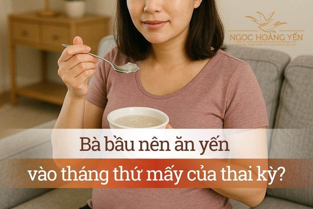 Bà bầu nên ăn yến vào tháng thứ mấy của thai kỳ?