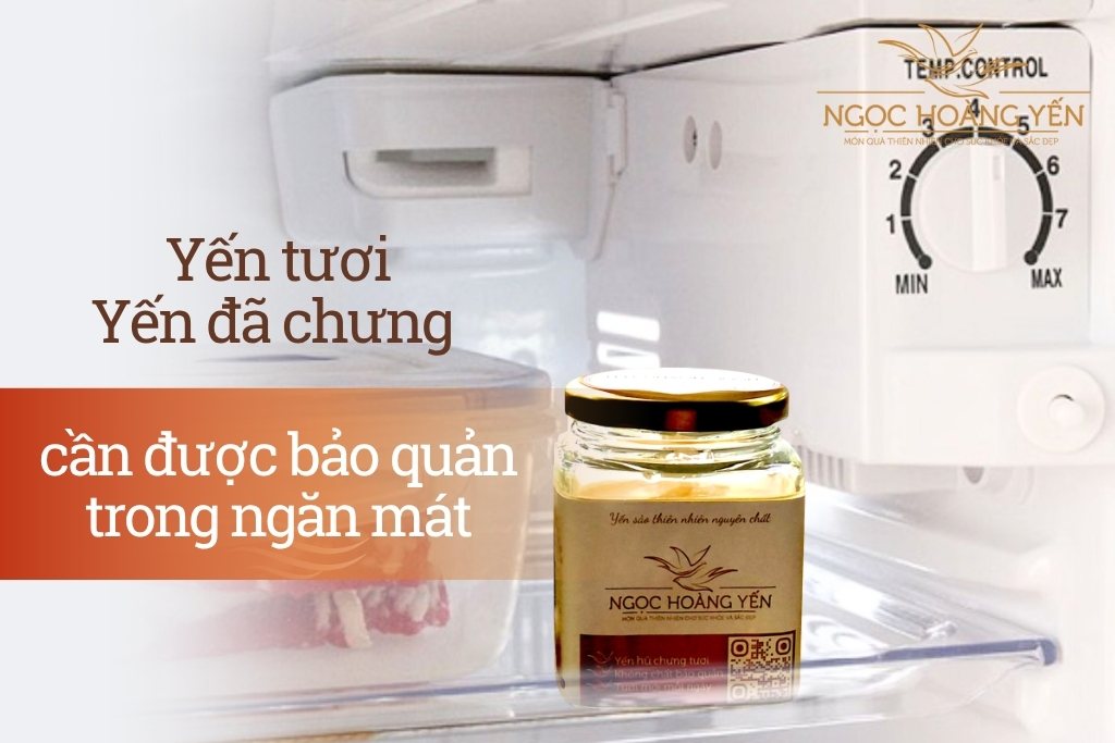 Cách bảo quản yến tươi, yến đã chưng