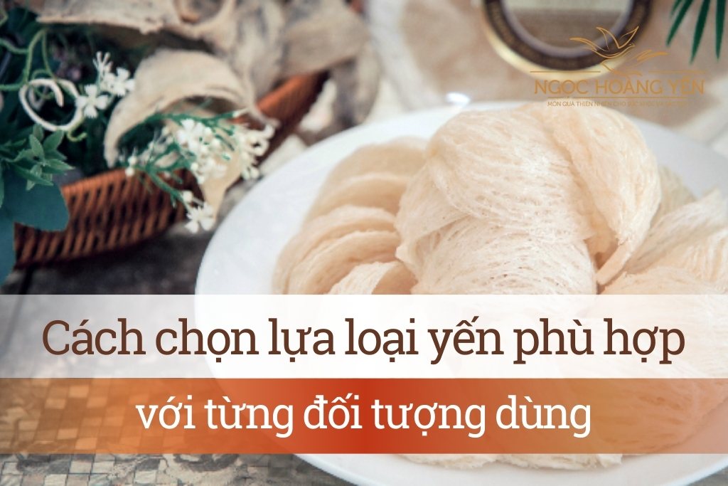 Cách chọn lựa loại yến phù hợp với từng đối tượng dùng