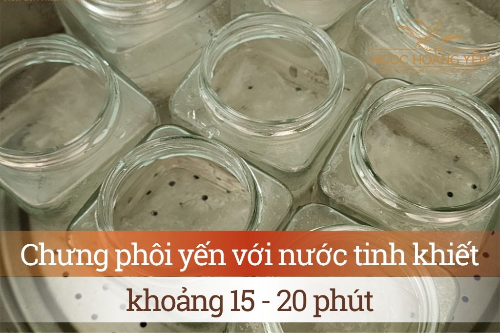 Chưng phôi yến với nước tinh khiết khoảng 15 - 20 phút