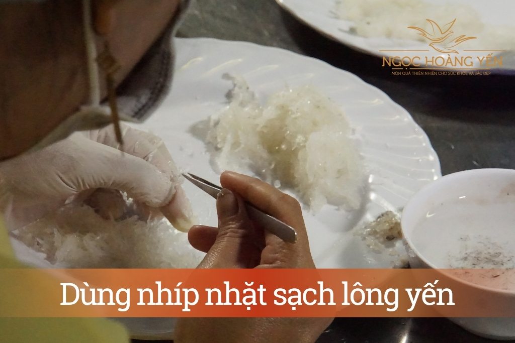 Dùng nhíp nhặt sạch lông yến
