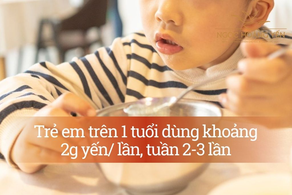 Liều dùng tổ yến cho trẻ em (trên 1 tuổi)