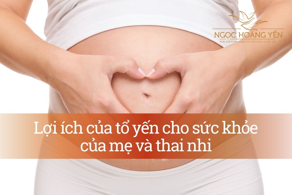 Lợi ích của tổ yến cho sức khỏe của mẹ và thai nhi