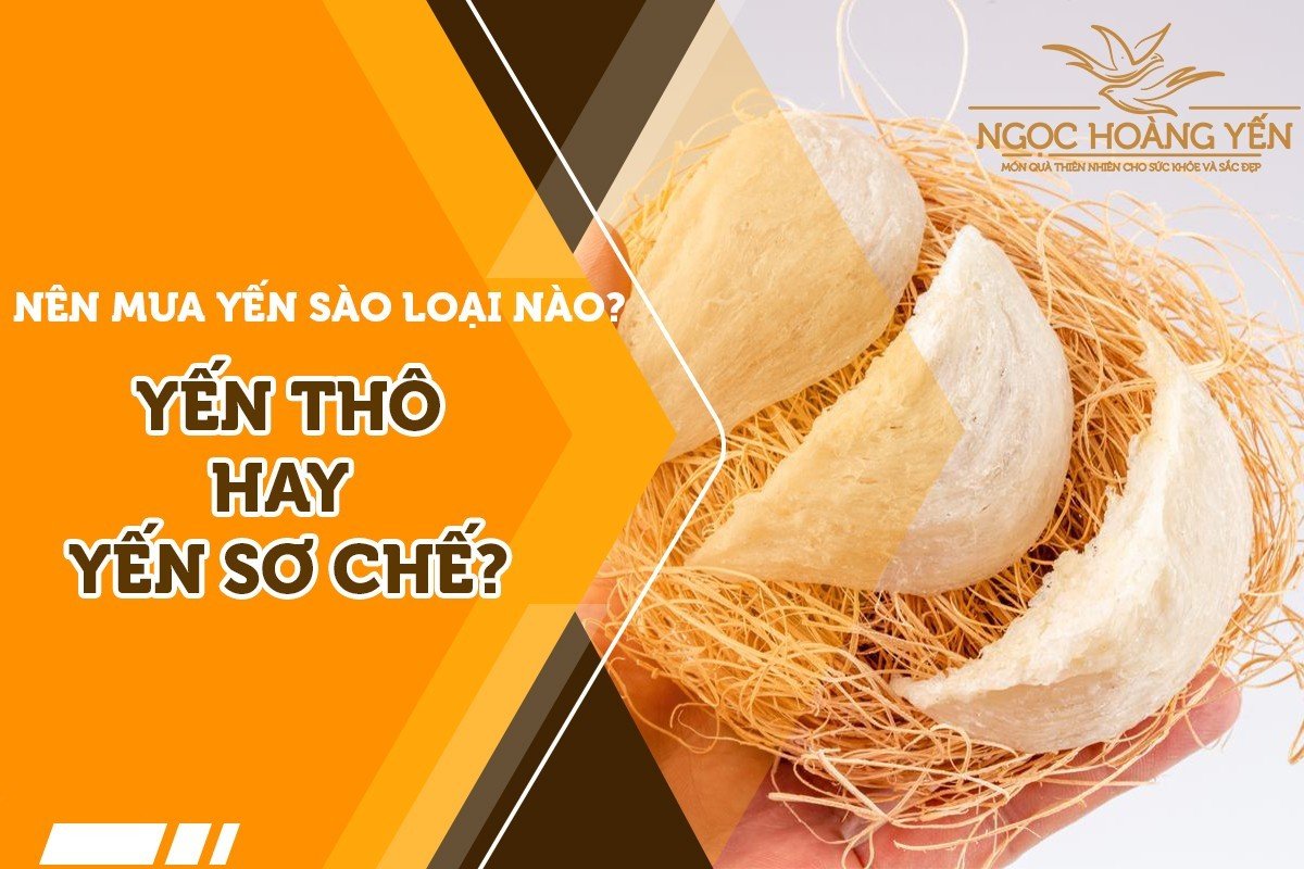 Nên mua yến sào loại nào? Yến thô hay Yến sơ chế?