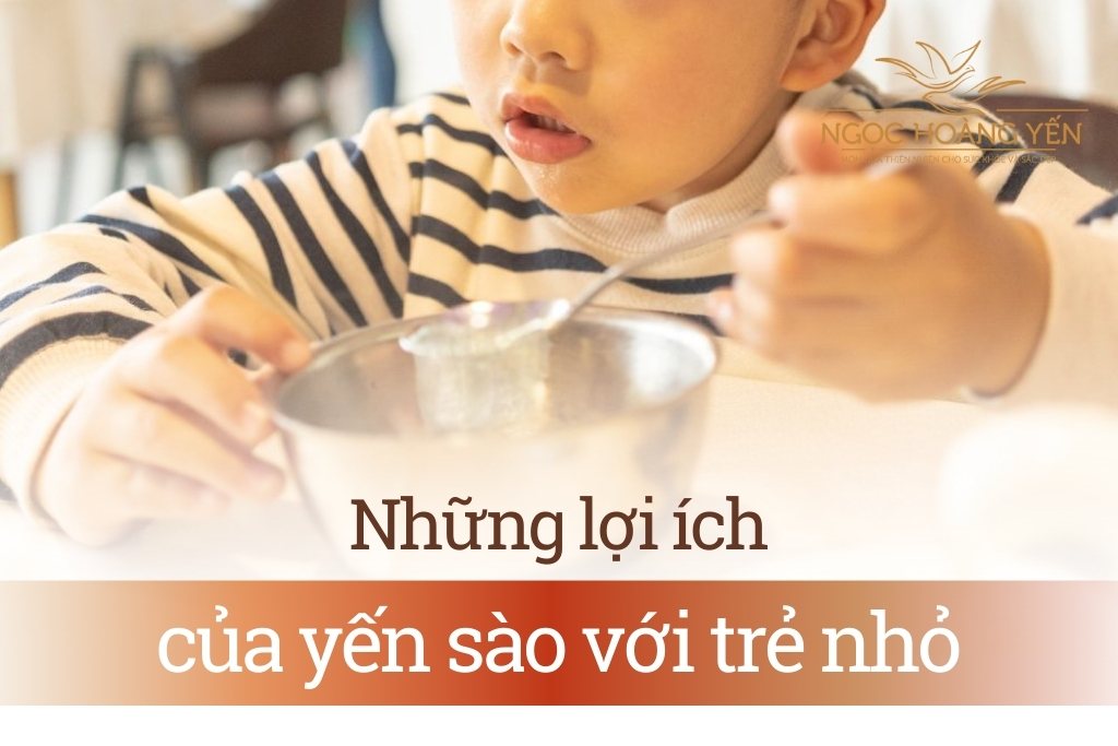 Những lợi ích của yến sào với trẻ nhỏ