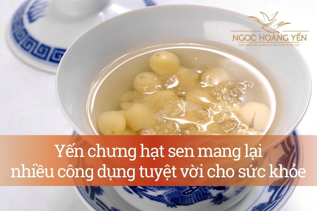 Yến chưng hạt sen mang lại nhiều công dụng tuyệt vời cho sức khỏe