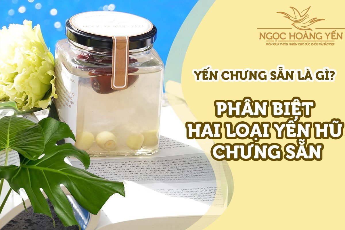 Yến chưng sẵn là gì - Phân biệt hai loại yến chưng sẵn