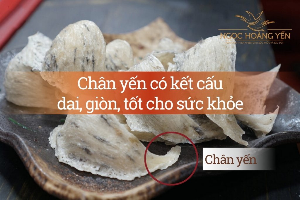 Chân yến có kết cấu dai, giòn, tốt cho sức khỏe