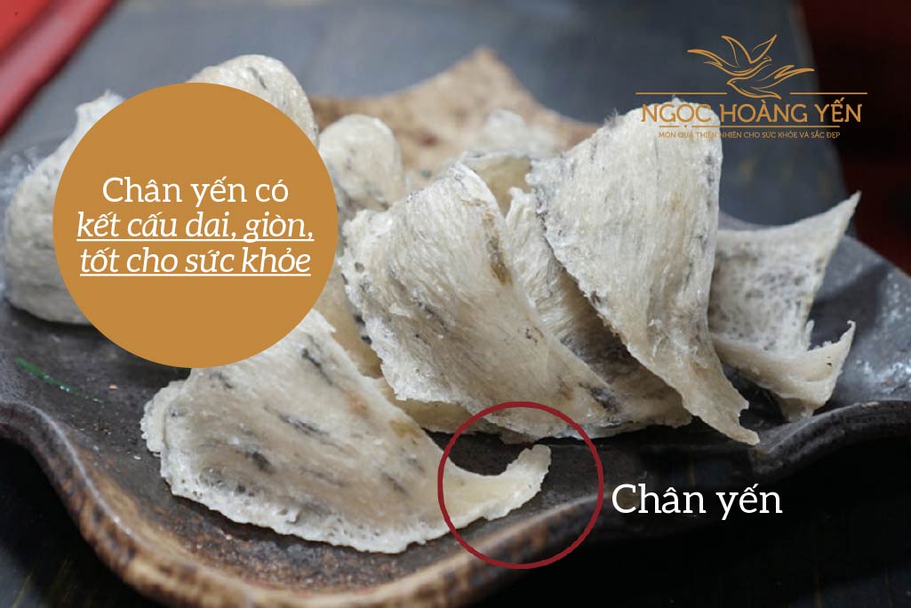 Chân yến có kết cấu dai, giòn, tốt cho sức khỏe