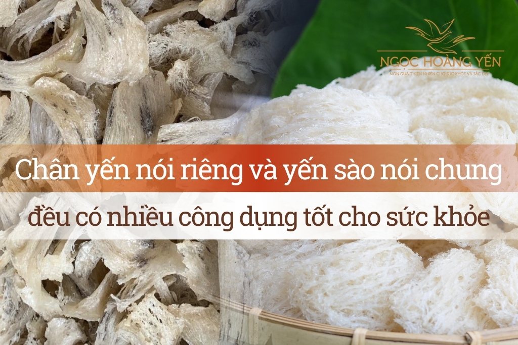 Chân yến có nhiều công dụng tốt cho sức khỏe