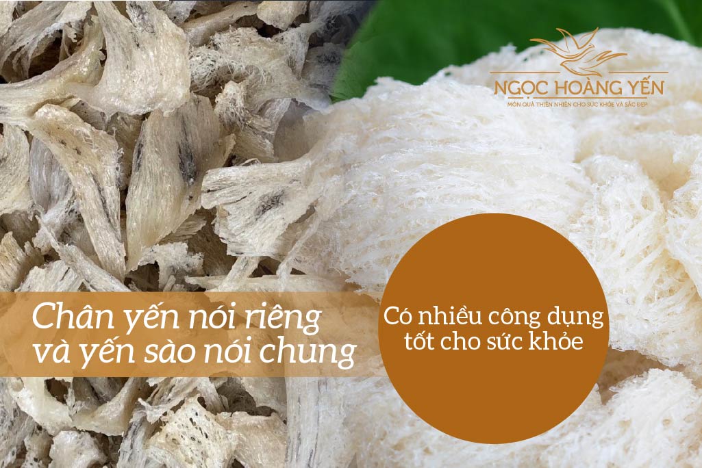 Chân yến nói riêng và yến sào nói chung có nhiều công dụng tốt cho sức khỏe