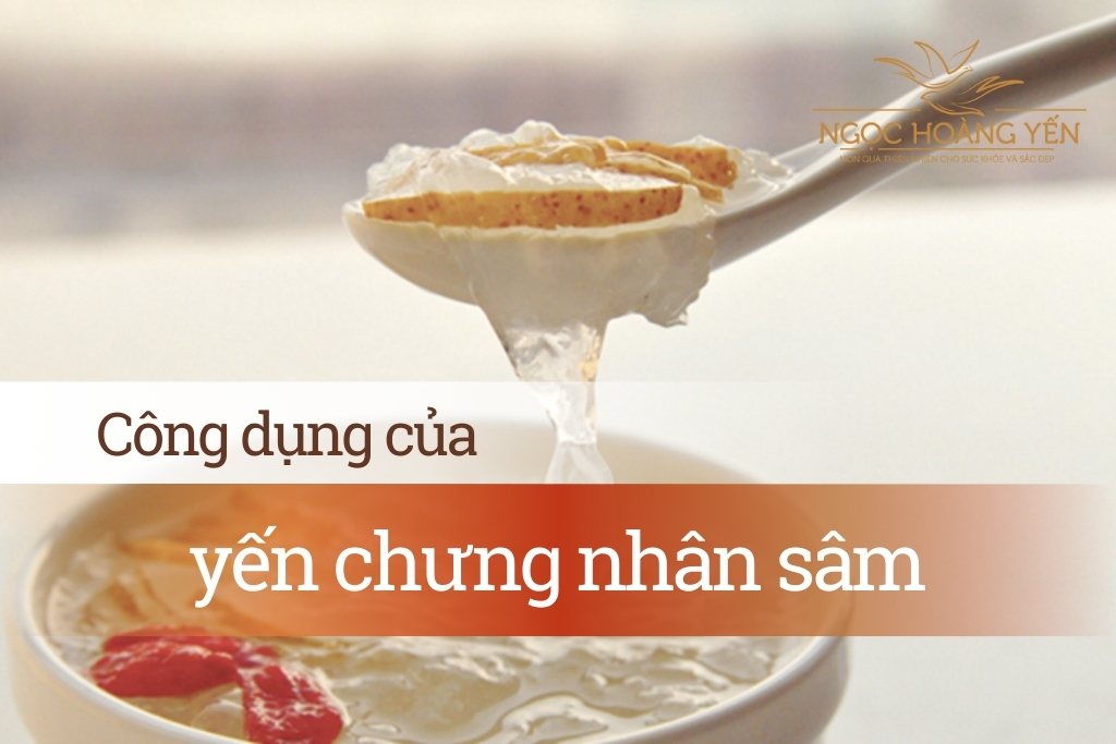 Công dụng yến chưng nhân sâm