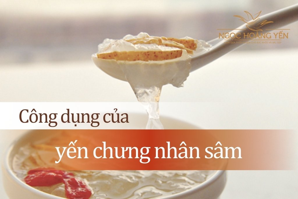 Công dụng yến chưng nhân sâm