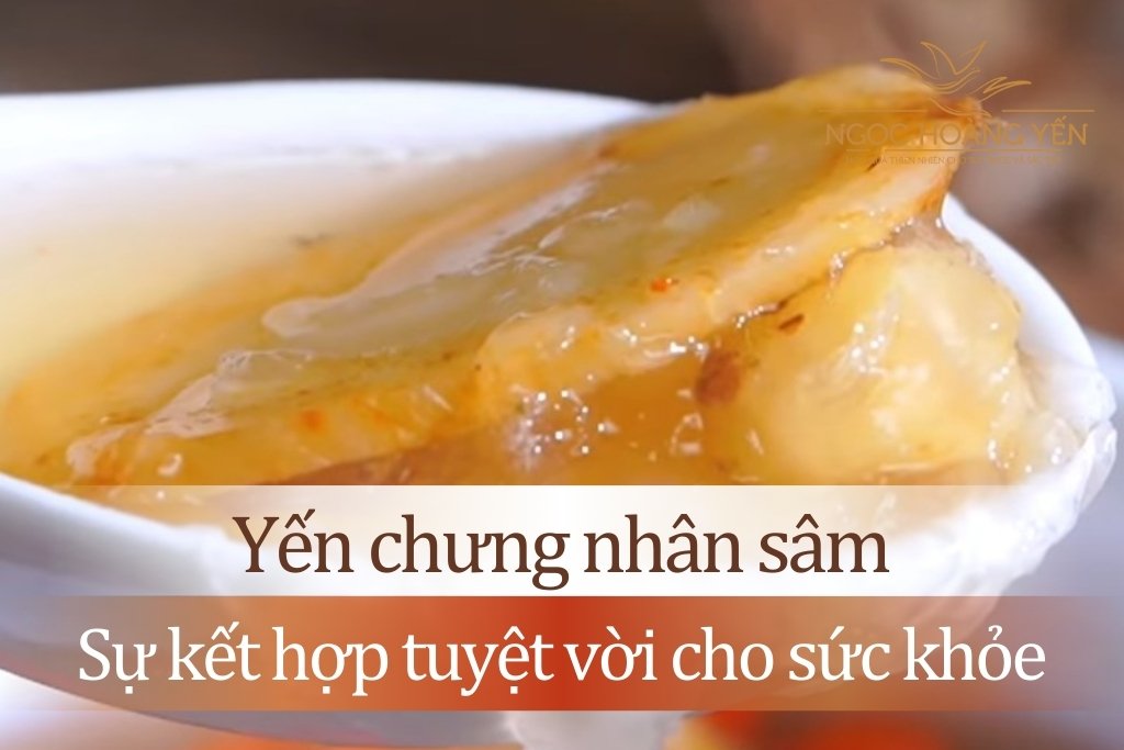 Tổ yến chưng nhân sâm - Sự kết hợp tuyệt vời cho sức khỏe