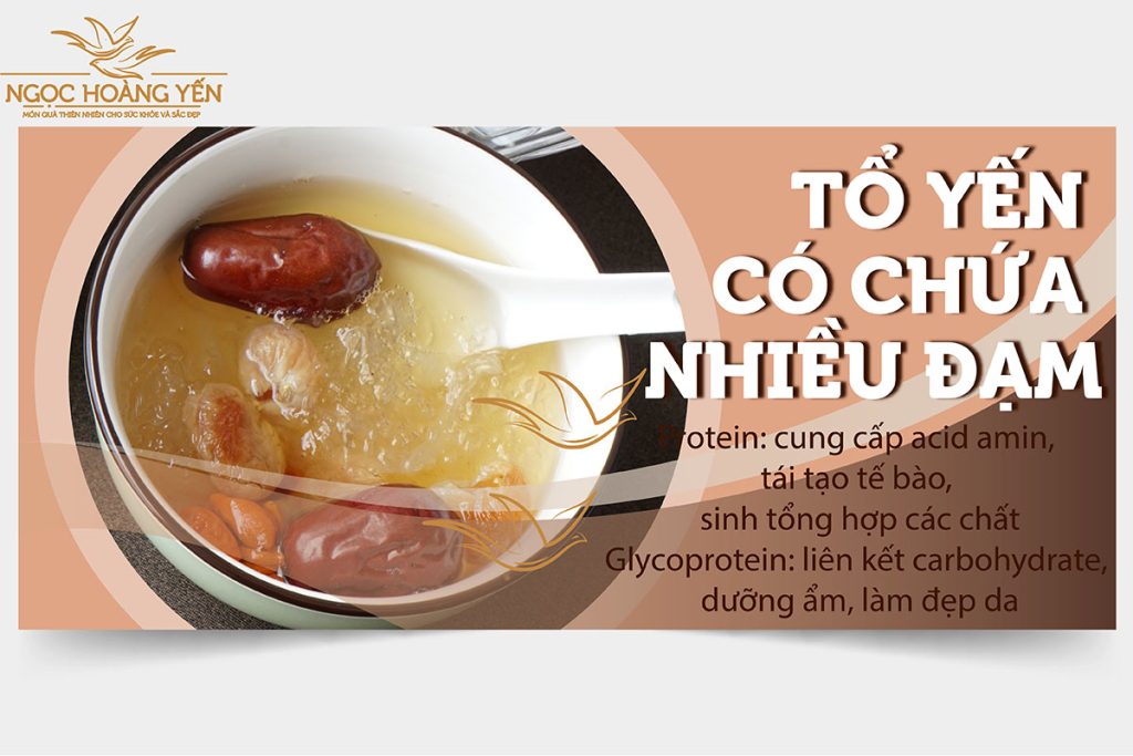 Tổ yến có chứa nhiều chất đạm