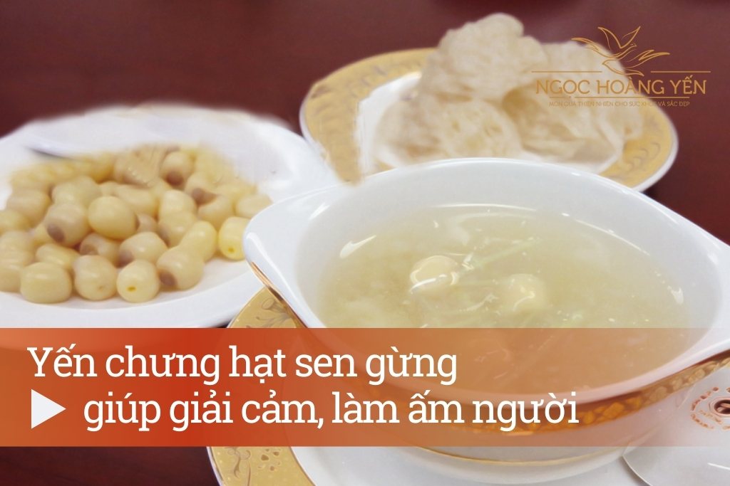 Yến chưng hạt sen gừng giúp giải cảm, làm ấm người