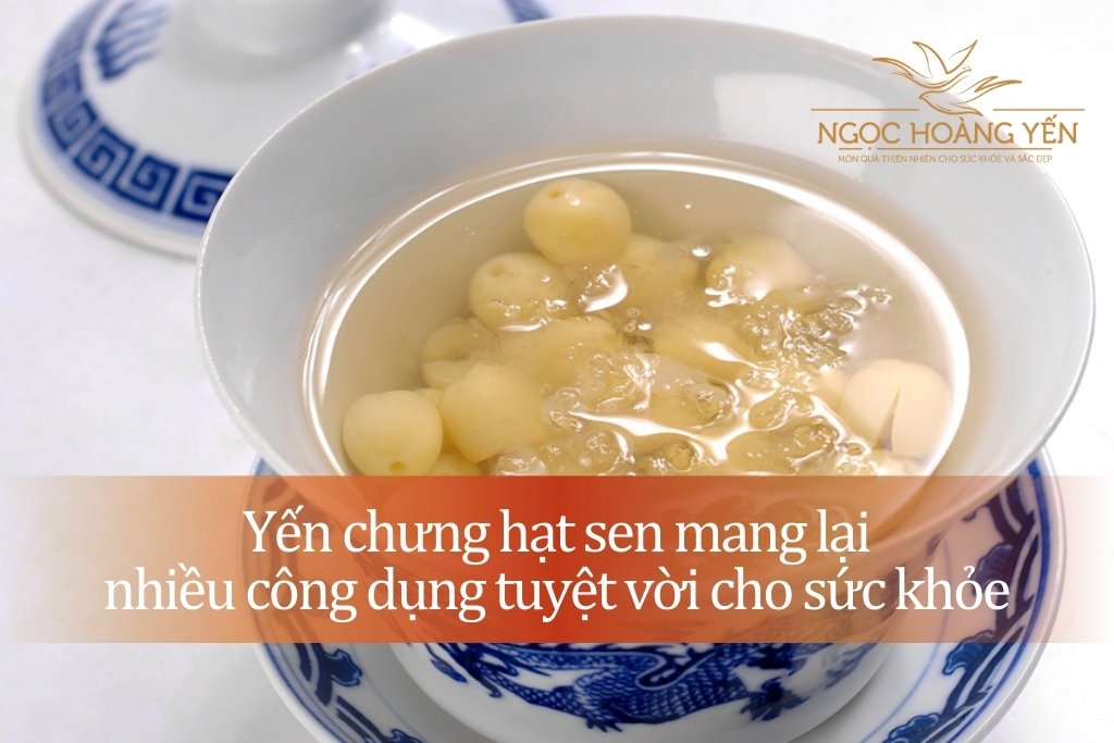 Yến chưng hạt sen mang lại nhiều công dụng tuyệt vời cho sức khỏe