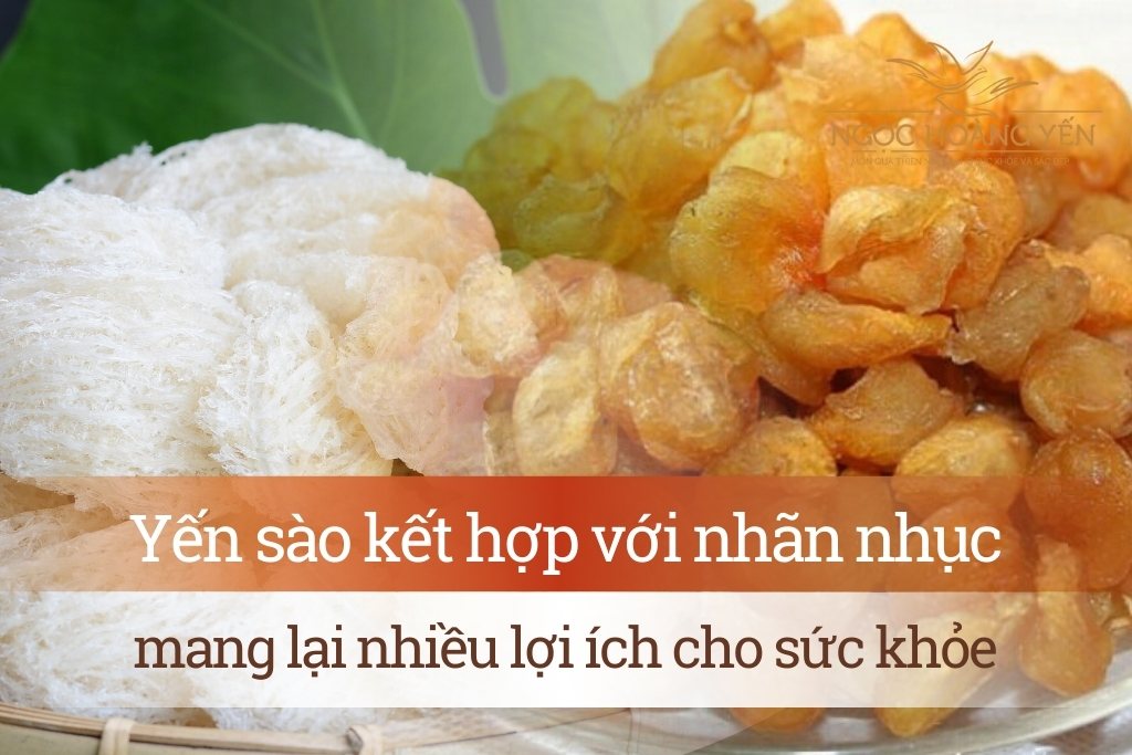 Yến sào kết hợp với nhãn nhục mang lại nhiều lợi ích cho sức khỏe