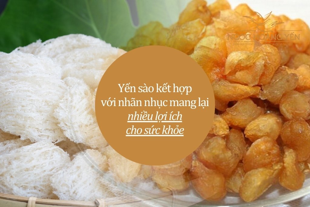 Yến sào kết hợp với nhãn nhục mang lại nhiều lợi ích cho sức khỏe