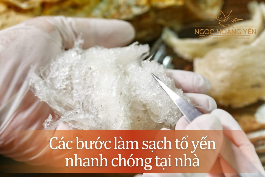 Các bước làm sạch tổ yến nhanh chóng tại nhà