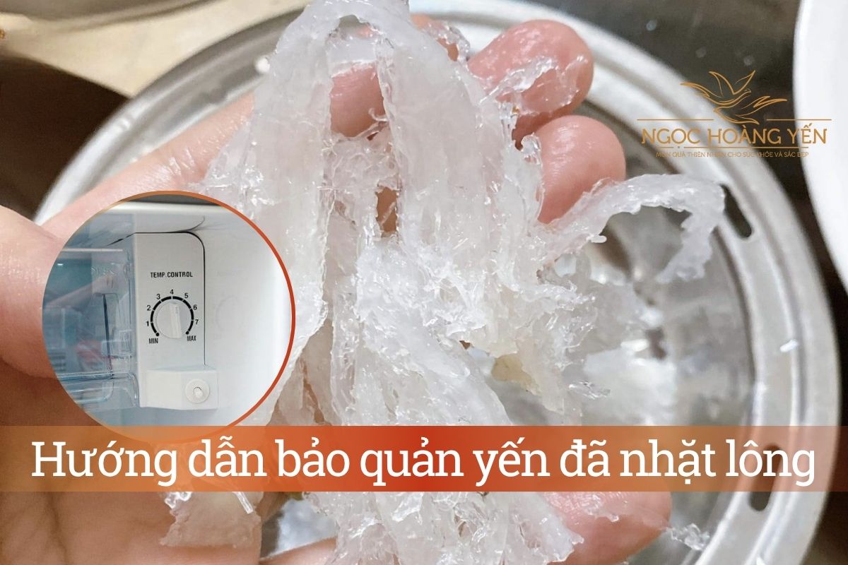Hướng dẫn bảo quản yến đã nhặt lông