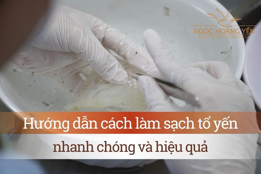 Hướng dẫn cách làm sạch tổ yến nhanh chóng và hiệu quả