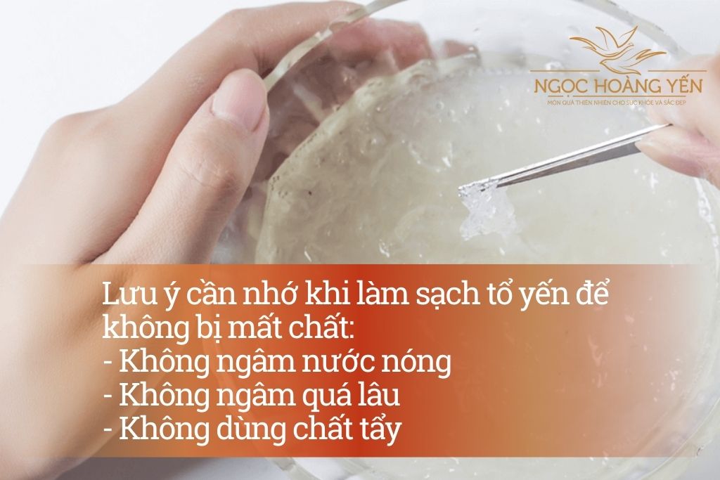 Lưu ý cần nhớ khi làm sạch tổ yến để không bị mất chất