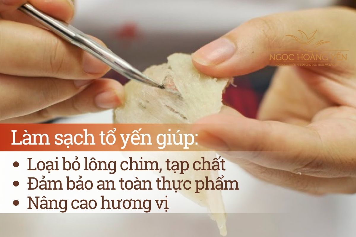 Lý do cần làm sạch tổ yến