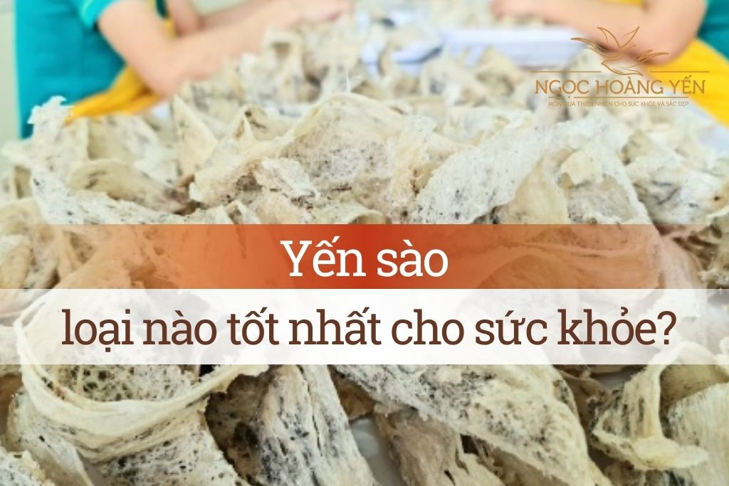 Yến sào loại nào tốt nhất cho sức khỏe?
