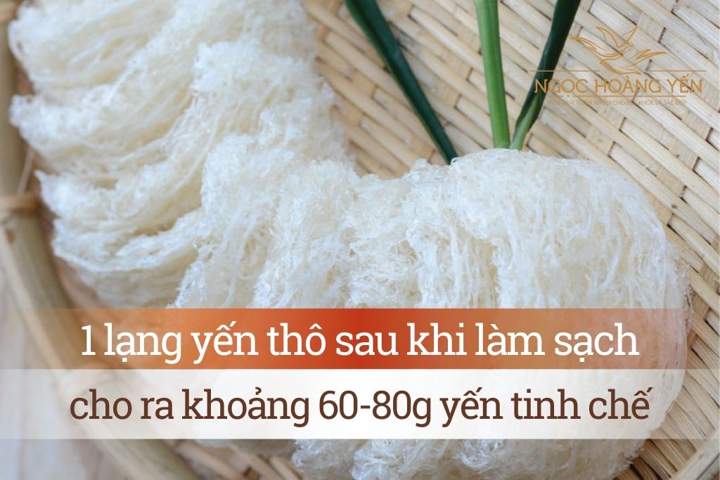1 lạng yến thô sau khi làm sạch cho ra 60-80g yến tinh chế