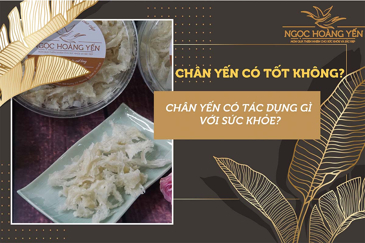 Chân yến có tốt không? Chân yến có tác dụng gì với sức khỏe?